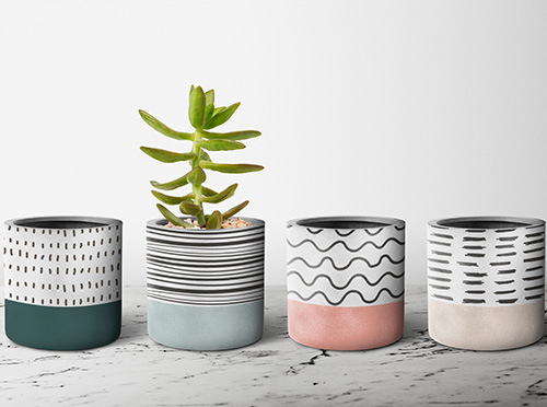 Plant Pots