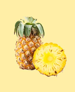 Pineapple Lorem