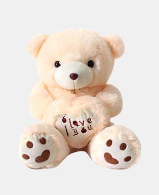 Teddy Bear